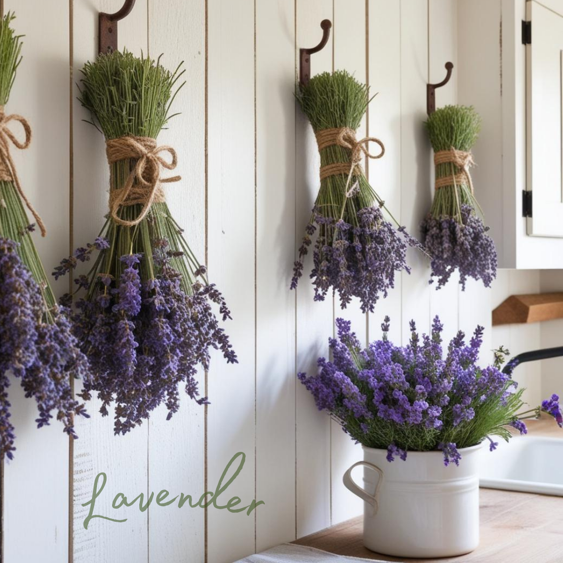 LAVENDER body powder refill - natural deodorant